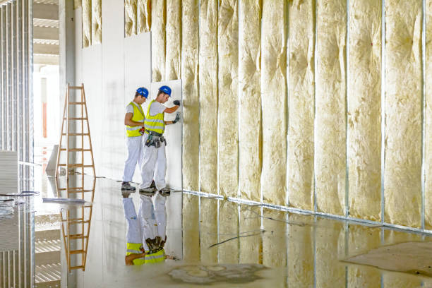 Best Eco-Friendly Insulation in El Valle De Arroyo Seco, NM